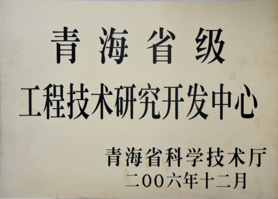 工程技術(shù)研究開(kāi)發(fā)中心